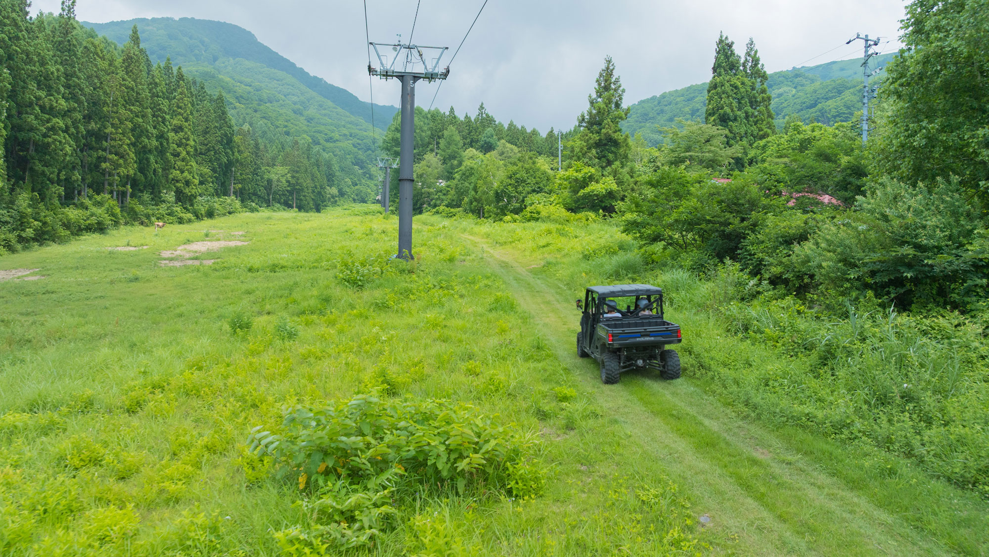 グリーンシーズン　白馬乗鞍温泉スキー場　アクティビティ
